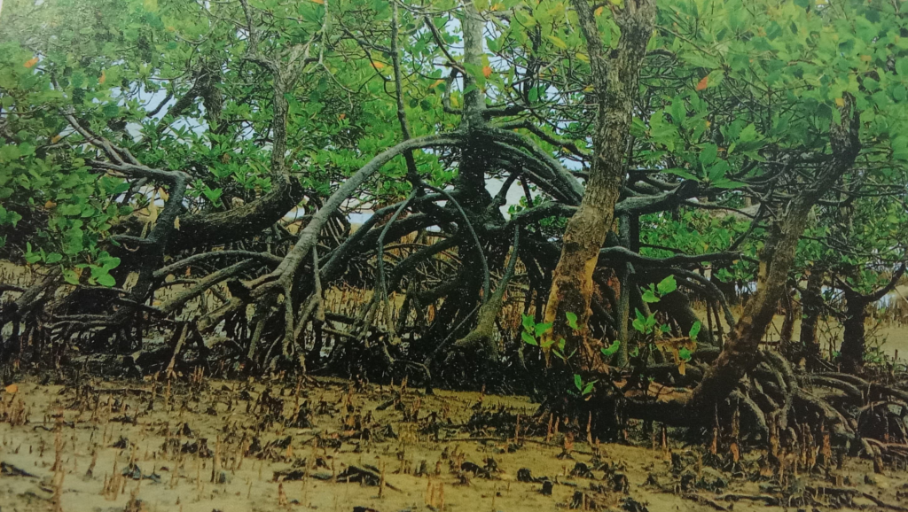 image-13-1024x578.png